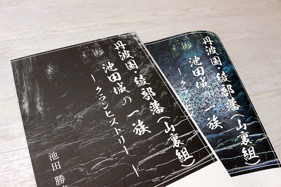 丹波国・綾部藩(山裏組)池田城の一族 書影